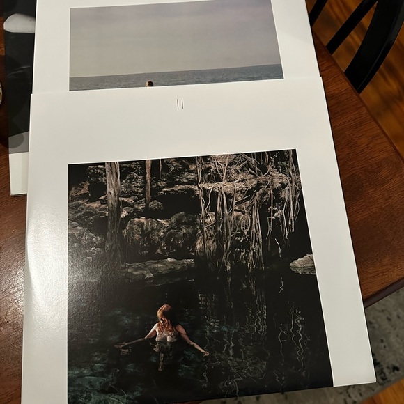 Florence and the Machine Vinyl Record Album - Picture 3 of 4